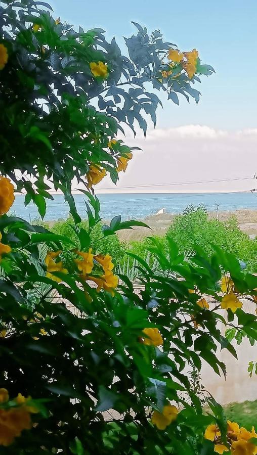 Kayan House Villa Tunis Luaran gambar